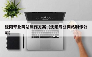 双鸭山沈阳专业网站制作方案（沈阳专业网站制作公司）